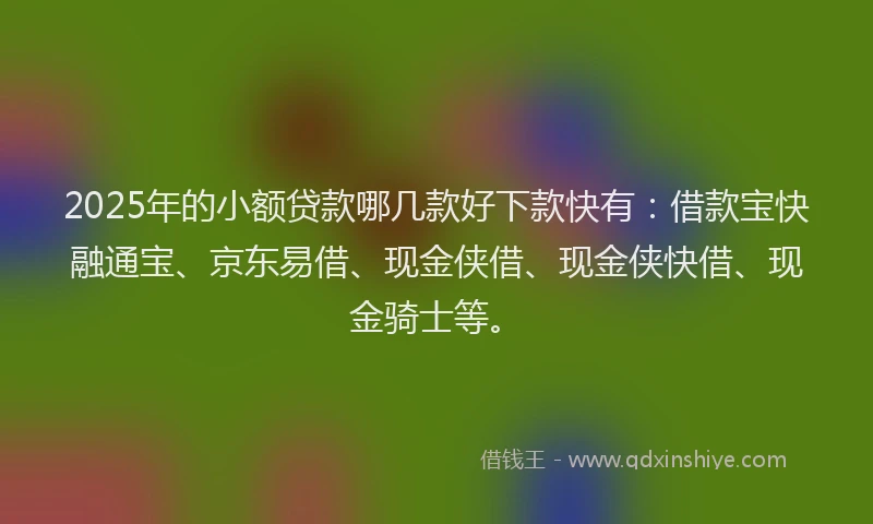 2025年的小额贷款哪几款好下款快有：借款宝快融通宝、京东易借、现金侠借、现金侠快借、现金骑士等。