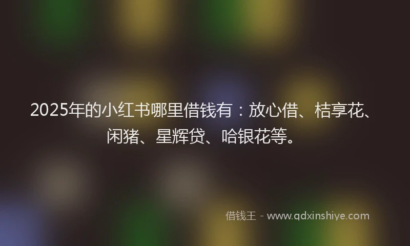 2025年的小红书哪里借钱有：放心借、桔享花、闲猪、星辉贷、哈银花等。