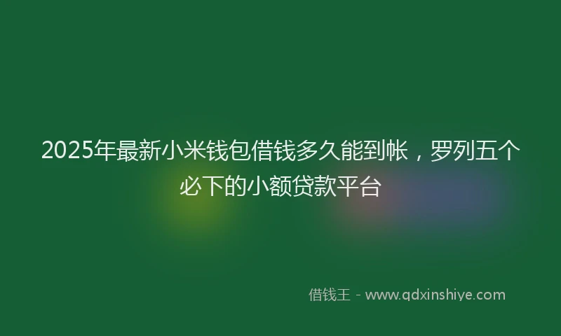 2025年最新小米钱包借钱多久能到帐，罗列五个必下的小额贷款平台