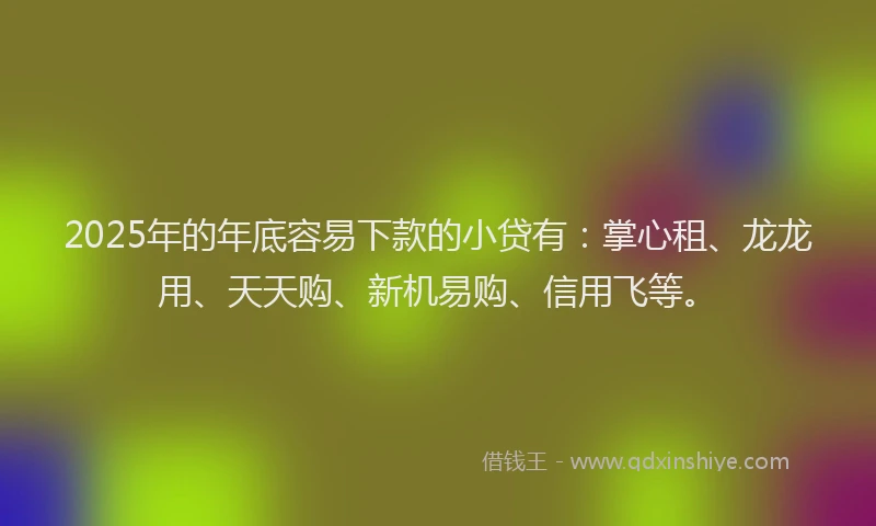 2025年的年底容易下款的小贷有：掌心租、龙龙用、天天购、新机易购、信用飞等。