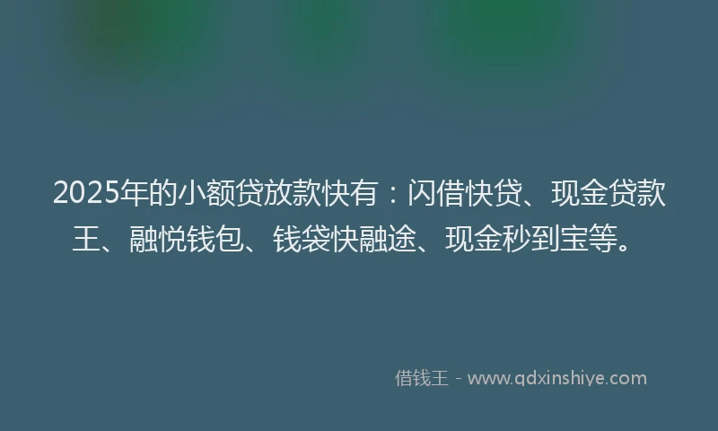 2025年的小额贷放款快有：闪借快贷、现金贷款王、融悦钱包、钱袋快融途、现金秒到宝等。