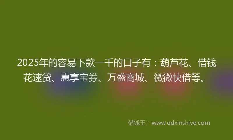 2025年的容易下款一千的口子有：葫芦花、借钱花速贷、惠享宝券、万盛商城、微微快借等。