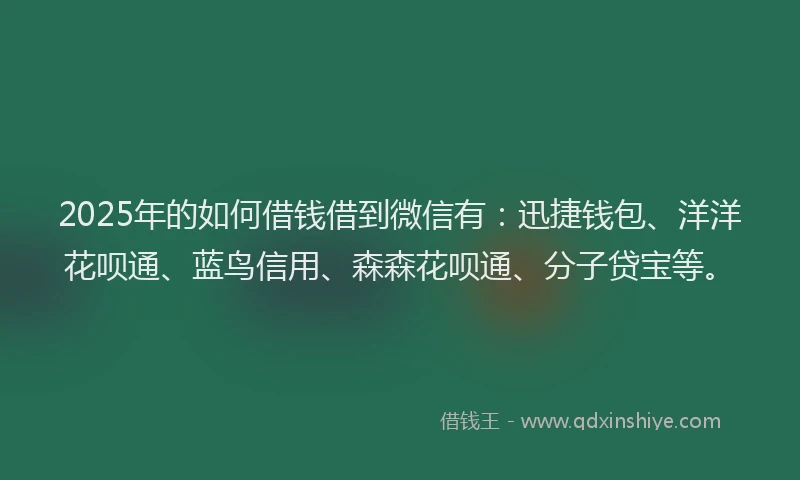 2025年的如何借钱借到微信有:迅捷钱包、洋洋花呗通、蓝鸟信用、森森花呗通、分子贷宝等。