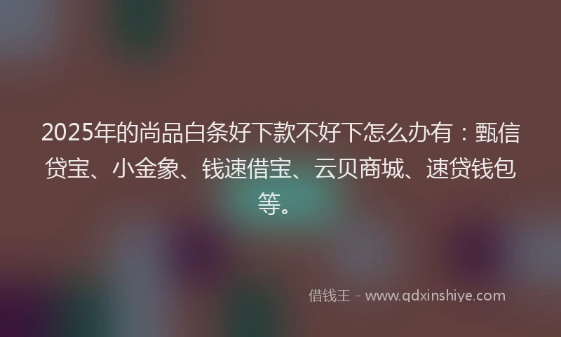 2025年的尚品白条好下款不好下怎么办有：甄信贷宝、小金象、钱速借宝、云贝商城、速贷钱包等。