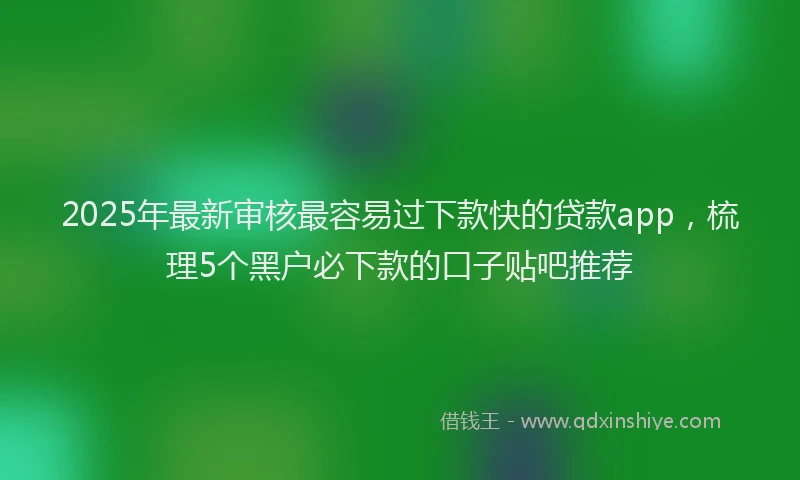 2025年最新审核最容易过下款快的贷款app，梳理5个黑户必下款的口子贴吧推荐