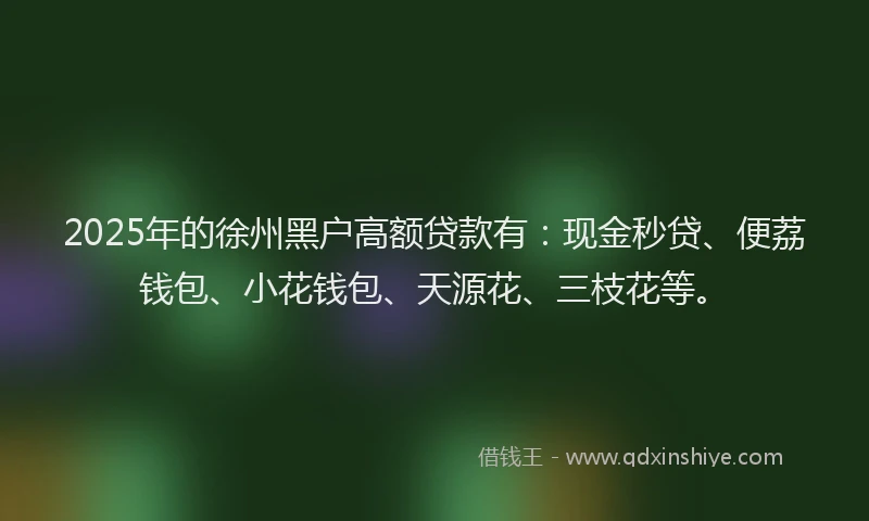 2025年的徐州黑户高额贷款有：现金秒贷、便荔钱包、小花钱包、天源花、三枝花等。
