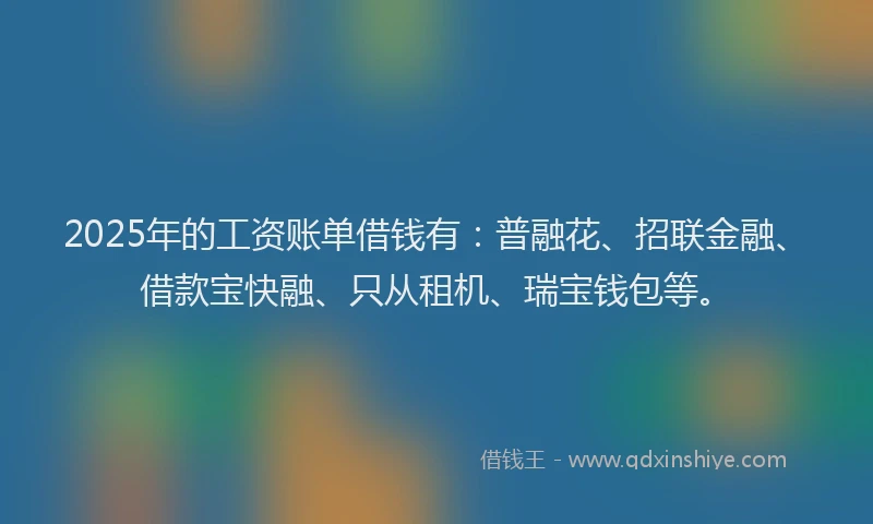 2025年的工资账单借钱有：普融花、招联金融、借款宝快融、只从租机、瑞宝钱包等。