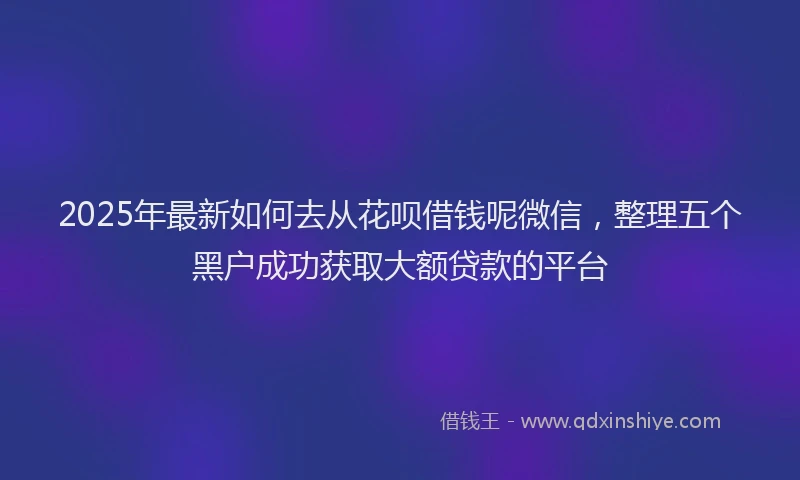 2025年最新如何去从花呗借钱呢微信，整理五个黑户成功获取大额贷款的平台