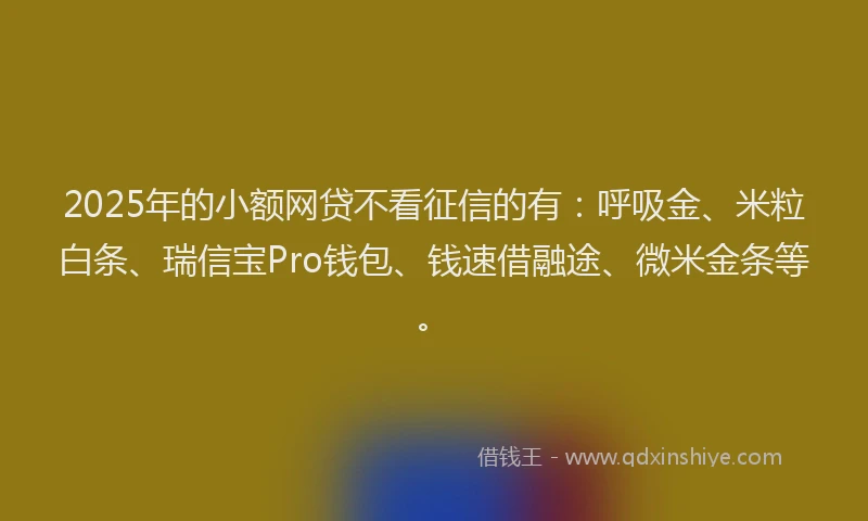 2025年的小额网贷不看征信的有：呼吸金、米粒白条、瑞信宝Pro钱包、钱速借融途、微米金条等。