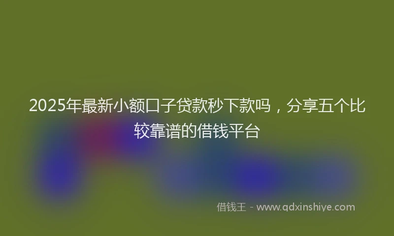 2025年最新小额口子贷款秒下款吗，分享五个比较靠谱的借钱平台