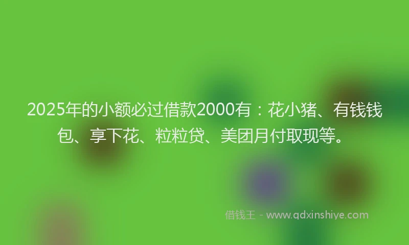 2025年的小额必过借款2000有：花小猪、有钱钱包、享下花、粒粒贷、美团月付取现等。