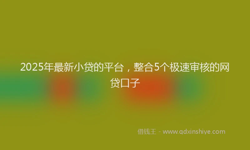 2025年最新小贷的平台，整合5个极速审核的网贷口子