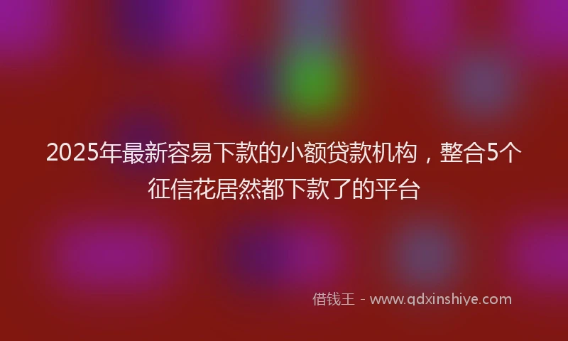 2025年最新容易下款的小额贷款机构，整合5个征信花居然都下款了的平台