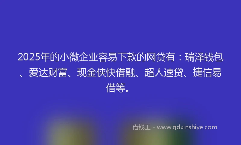2025年的小微企业容易下款的网贷有：瑞泽钱包、爱达财富、现金侠快借融、超人速贷、捷信易借等。