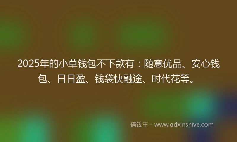 2025年的小草钱包不下款有：随意优品、安心钱包、日日盈、钱袋快融途、时代花等。