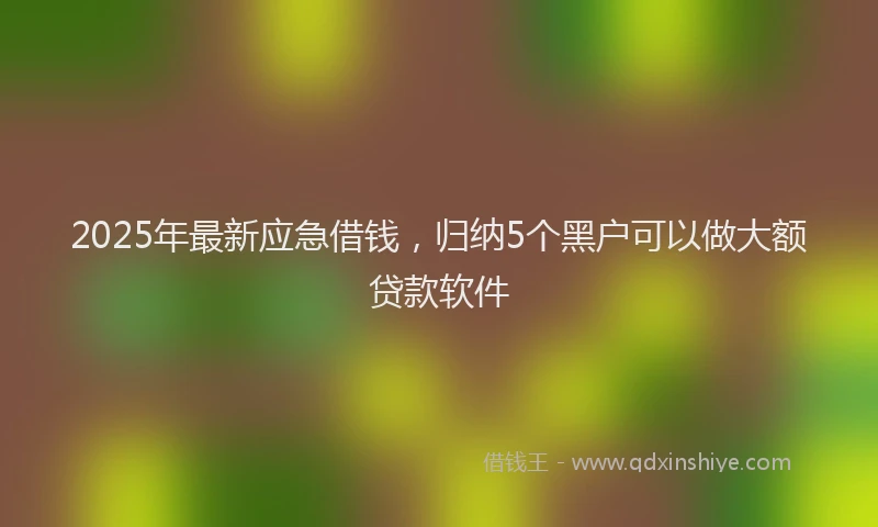2025年最新应急借钱，归纳5个黑户可以做大额贷款软件