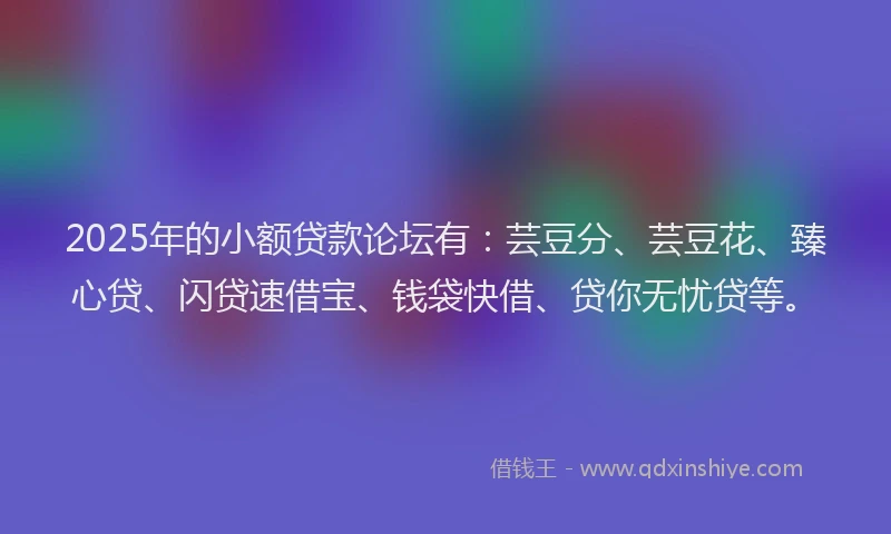 2025年的小额贷款论坛有：芸豆分、芸豆花、臻心贷、闪贷速借宝、钱袋快借、贷你无忧贷等。