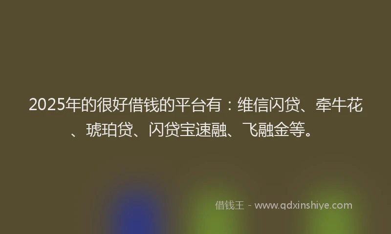 2025年的很好借钱的平台有：维信闪贷、牵牛花、琥珀贷、闪贷宝速融、飞融金等。