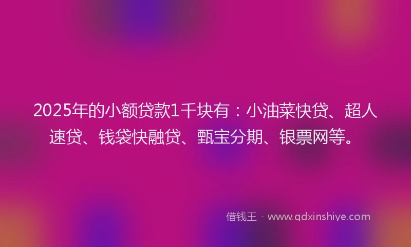 2025年的小额贷款1千块有：小油菜快贷、超人速贷、钱袋快融贷、甄宝分期、银票网等。