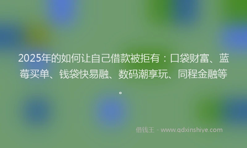 2025年的如何让自己借款被拒有：口袋财富、蓝莓买单、钱袋快易融、数码潮享玩、同程金融等。
