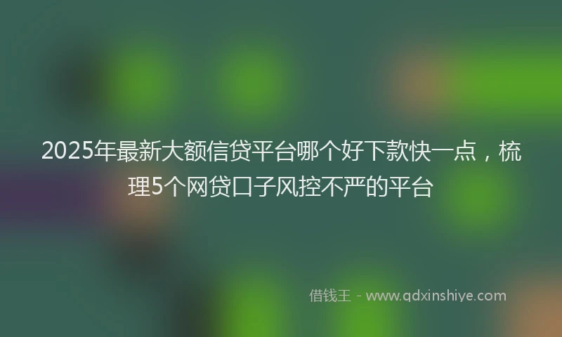 2025年最新大额信贷平台哪个好下款快一点，梳理5个网贷口子风控不严的平台