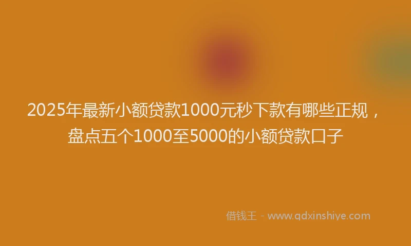 2025年最新小额贷款1000元秒下款有哪些正规，盘点五个1000至5000的小额贷款口子