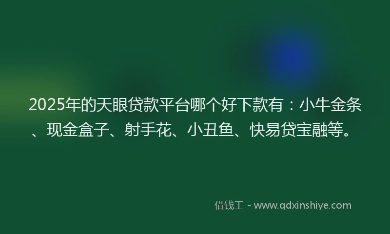2025年的天眼贷款平台哪个好下款有：小牛金条、现金盒子、射手花、小丑鱼、快易贷宝融等。