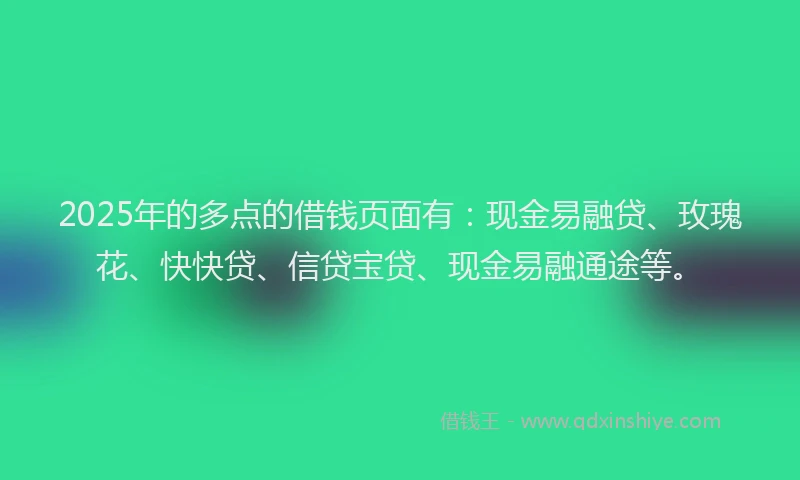 2025年的多点的借钱页面有：现金易融贷、玫瑰花、快快贷、信贷宝贷、现金易融通途等。