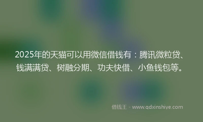 2025年的天猫可以用微信借钱有：腾讯微粒贷、钱满满贷、树融分期、功夫快借、小鱼钱包等。