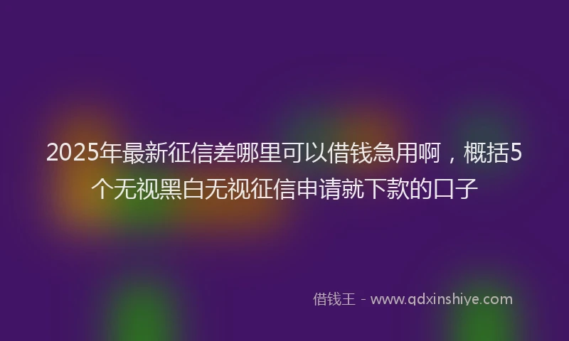 2025年最新征信差哪里可以借钱急用啊，概括5个无视黑白无视征信申请就下款的口子
