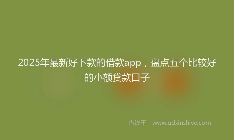 2025年最新好下款的借款app，盘点五个比较好的小额贷款口子