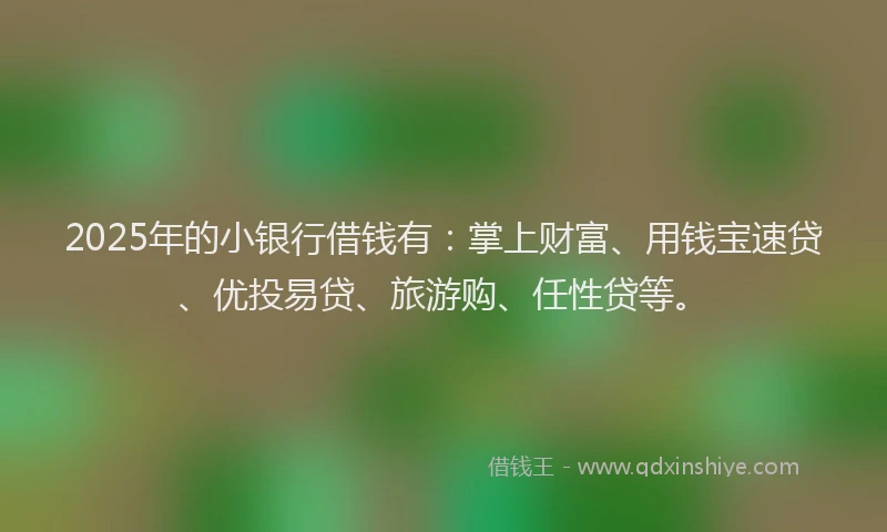 2025年的小银行借钱有：掌上财富、用钱宝速贷、优投易贷、旅游购、任性贷等。