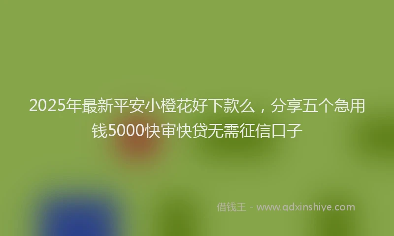 2025年最新平安小橙花好下款么，分享五个急用钱5000快审快贷无需征信口子