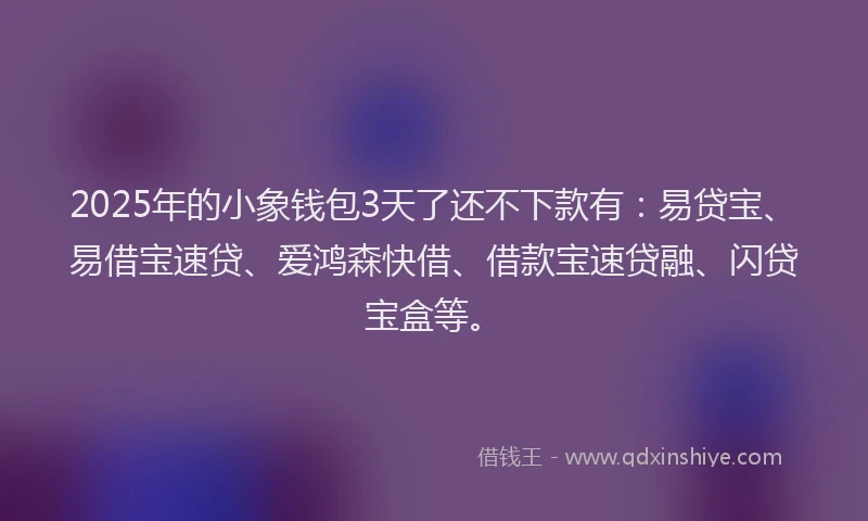2025年的小象钱包3天了还不下款有：易贷宝、易借宝速贷、爱鸿森快借、借款宝速贷融、闪贷宝盒等。