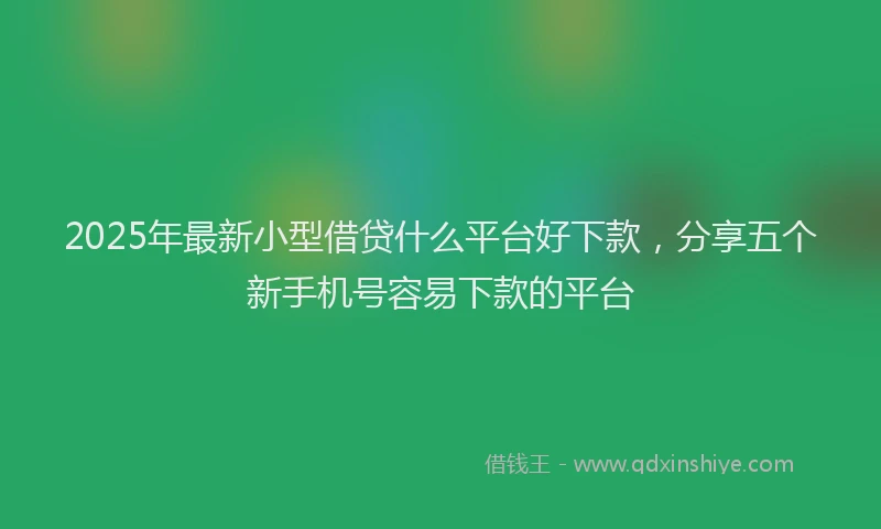 2025年最新小型借贷什么平台好下款，分享五个新手机号容易下款的平台