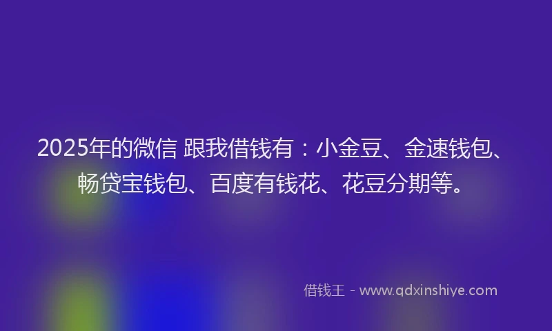 2025年的微信 跟我借钱有：小金豆、金速钱包、畅贷宝钱包、百度有钱花、花豆分期等。