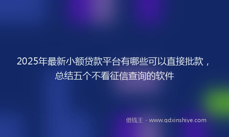 2025年最新小额贷款平台有哪些可以直接批款，总结五个不看征信查询的软件