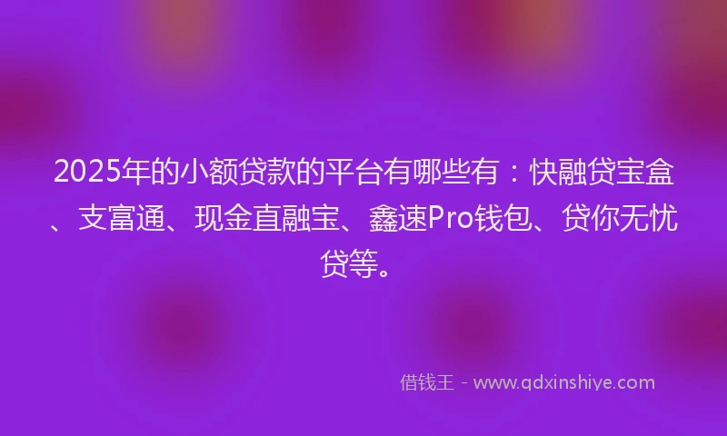 2025年的小额贷款的平台有哪些有：快融贷宝盒、支富通、现金直融宝、鑫速Pro钱包、贷你无忧贷等。