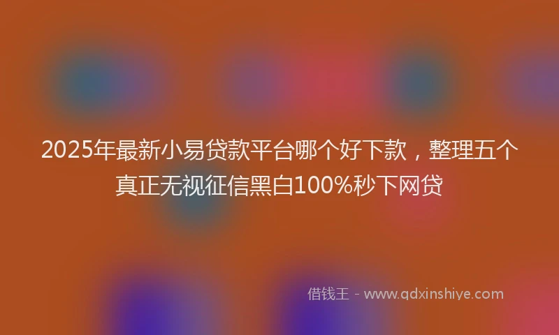 2025年最新小易贷款平台哪个好下款，整理五个真正无视征信黑白100%秒下网贷