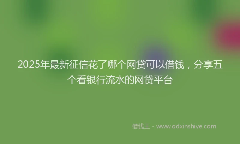 2025年最新征信花了哪个网贷可以借钱，分享五个看银行流水的网贷平台