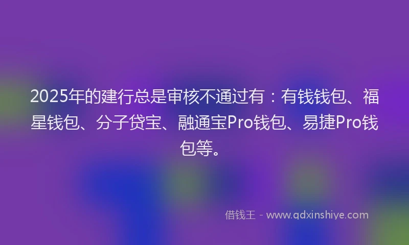 2025年的建行总是审核不通过有：有钱钱包、福星钱包、分子贷宝、融通宝Pro钱包、易捷Pro钱包等。