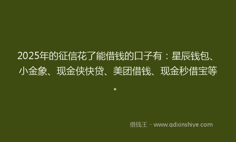 2025年的征信花了能借钱的口子有：星辰钱包、小金象、现金侠快贷、美团借钱、现金秒借宝等。