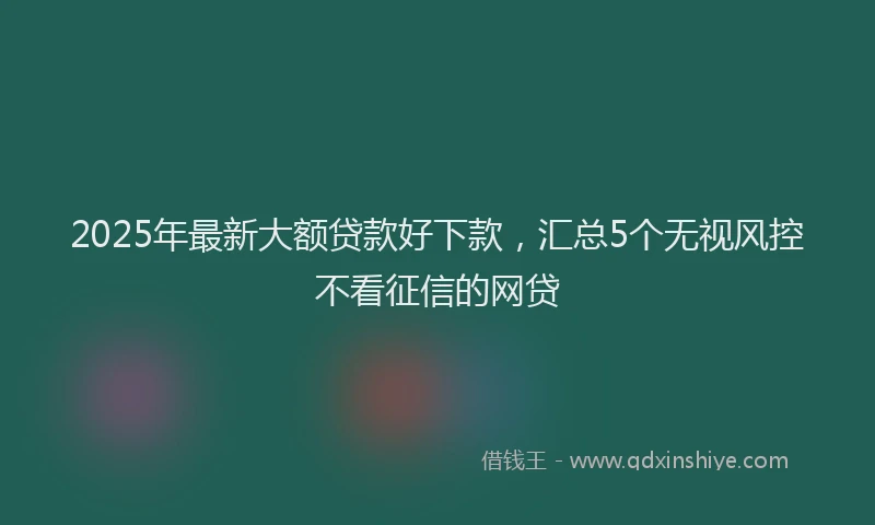 2025年最新大额贷款好下款，汇总5个无视风控不看征信的网贷