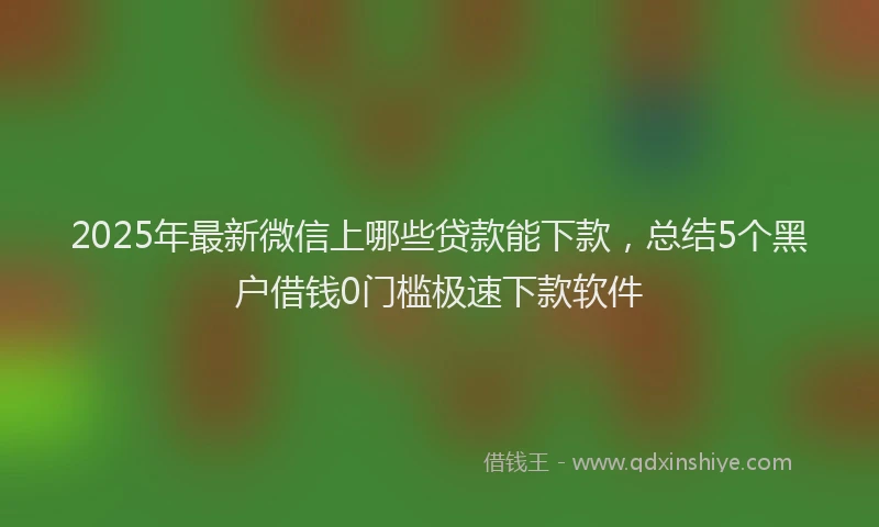 2025年最新微信上哪些贷款能下款，总结5个黑户借钱0门槛极速下款软件