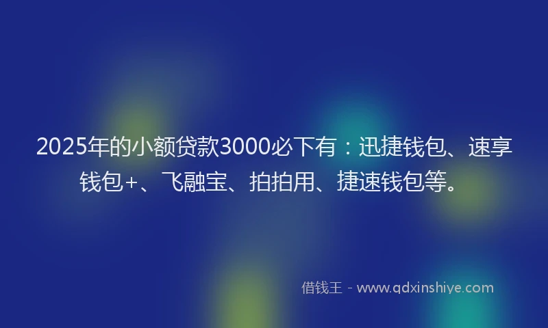 2025年的小额贷款3000必下有：迅捷钱包、速享钱包+、飞融宝、拍拍用、捷速钱包等。
