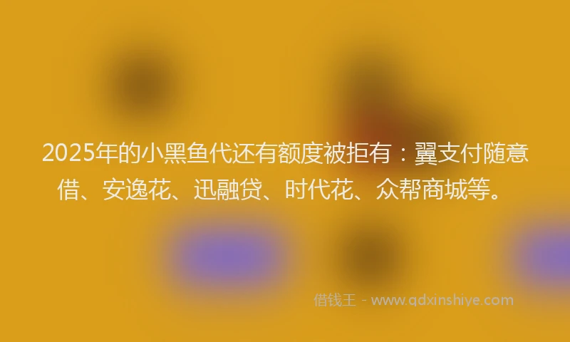 2025年的小黑鱼代还有额度被拒有：翼支付随意借、安逸花、迅融贷、时代花、众帮商城等。