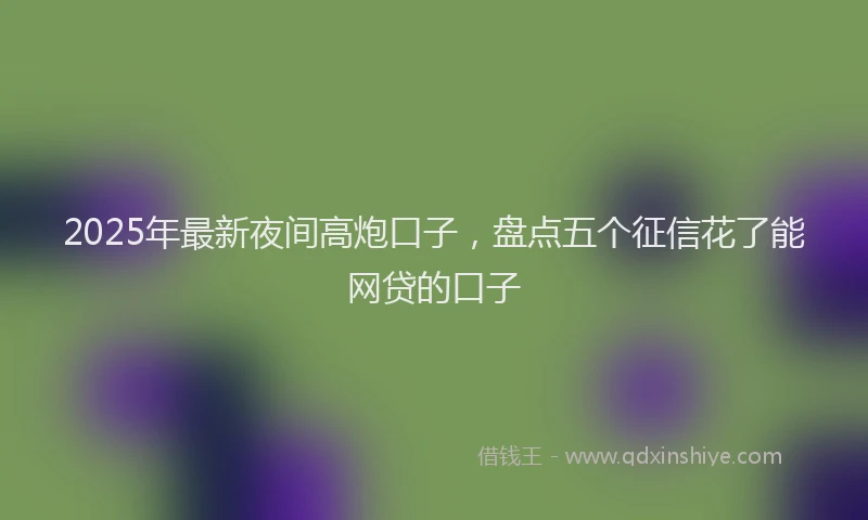 2025年最新夜间高炮口子，盘点五个征信花了能网贷的口子