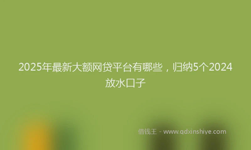2025年最新大额网贷平台有哪些，归纳5个2024放水口子