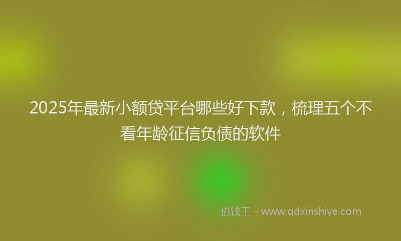 2025年最新小额贷平台哪些好下款，梳理五个不看年龄征信负债的软件