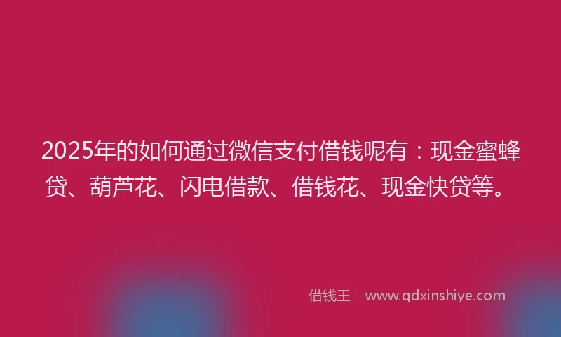 2025年的如何通过微信支付借钱呢有：现金蜜蜂贷、葫芦花、闪电借款、借钱花、现金快贷等。